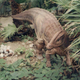 Illustration for article titled Did dinosaurs produce “milk” for their young?